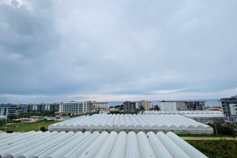 4+1 Lägenhet  i Kargicak, Alanya, Antalya, Turkiet Nr. 214862 - 7