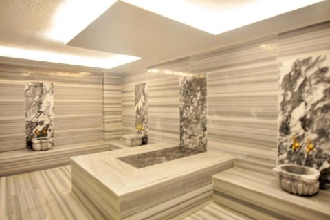 1+0 Lägenhet  i Alanya, Antalya, Turkiet Nr. 223186 - 14