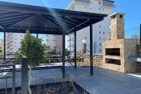 1+0 Lägenhet  i Alanya, Antalya, Turkiet Nr. 223181 - 15