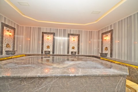 1+1 Wohnung in Alanya, Antalya, Türkei Nr. 226044 - 10