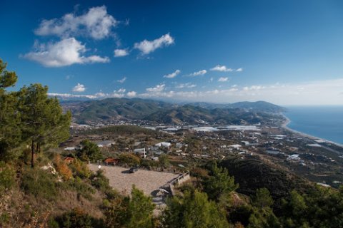 Arsa   Kargıcak, Alanya, Antalya, Türkiye №231822