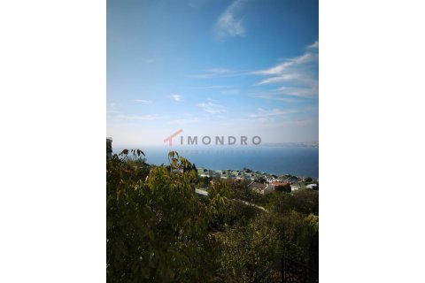 Daire  3+1  Büyükçekmece, İstanbul, Türkiye №215916 - 19