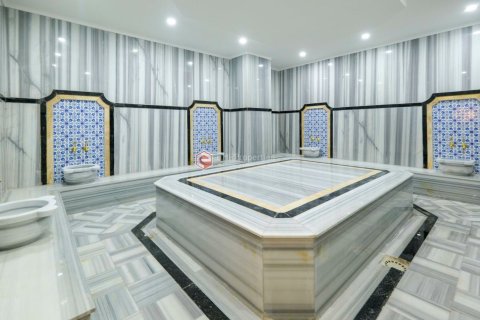 2+1 Leilighet i Alanya, Antalya, Tyrkia Nr. 213813 - 15