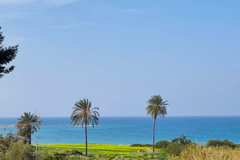 Продажа квартиры  в Эсентепе, Гирне, Северный Кипр 3 комн., 70м2, №211135 – фото 23