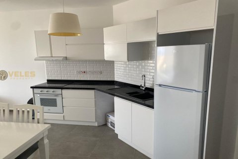 1+1 Lejlighed  i Gaziveren, Guzelyurt,  Nr. 214411 - 25