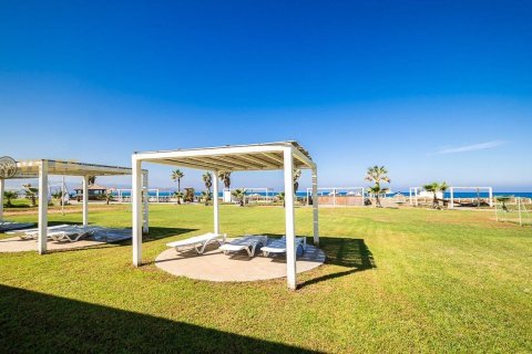 1+1 Lejlighed  i Gaziveren, Guzelyurt,  Nr. 214411 - 17