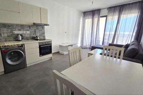 Apartment for sale  in Gaziveren, Guzelyurt, Northern Cyprus, 1 bedroom, 45m2, No. 214409 – photo 14