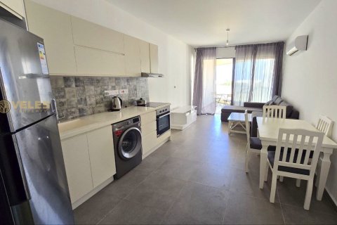 Apartment for sale  in Gaziveren, Guzelyurt, Northern Cyprus, 1 bedroom, 45m2, No. 214409 – photo 24