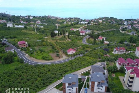 Продажа виллы в Трабзоне, Турция 5+1, 380м2, №233819 – фото 4