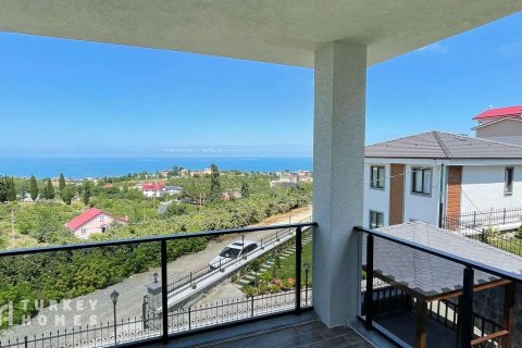 Продажа виллы в Трабзоне, Турция 5+1, 380м2, №233819 – фото 1