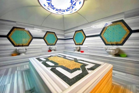 Daire  3+1  Kestel, Antalya, Türkiye №218651 - 24