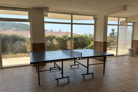 3+1 Villa  i Alanya, Antalya, Tyrkia Nr. 223305 - 13