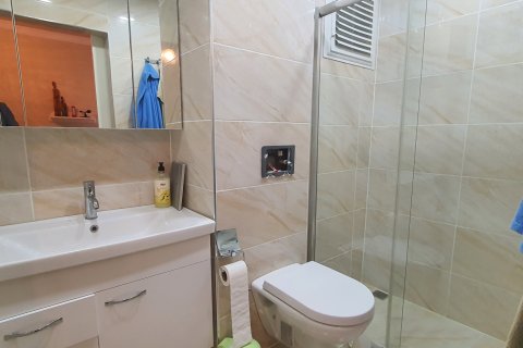 3+1 Wohnung  in Mahmutlar, Antalya, Türkei Nr. 223303 - 13