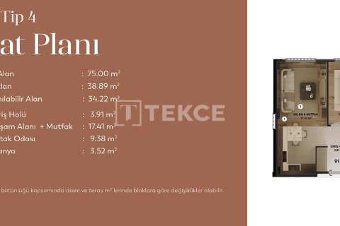 1+1 Lägenhet i Bursa, Turkiet Nr. 226535 - 27