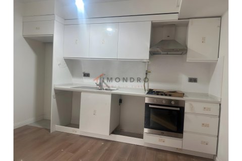 Daire  1+1  Beşiktaş, İstanbul, Türkiye №226841 - 3