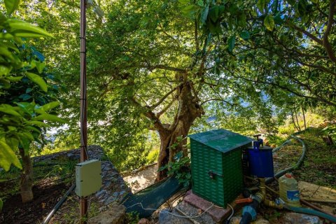 2+1 Villa i Kestel, Antalya, Tyrkiet Nr. 228673 - 29