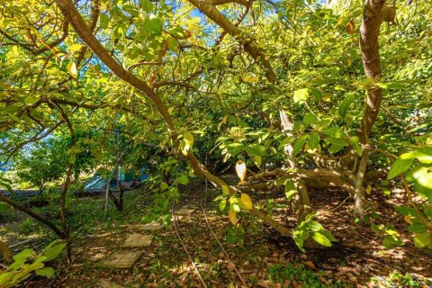 2+1 Villa i Kestel, Antalya, Tyrkiet Nr. 228673 - 28