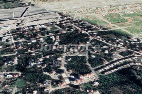 Tom  i Kemer, Antalya, Tyrkiet Nr. 221266 - 2