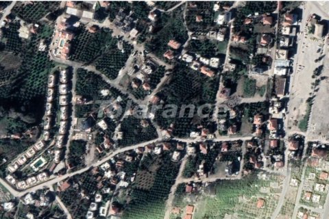 Tom  i Kemer, Antalya, Tyrkiet Nr. 221266