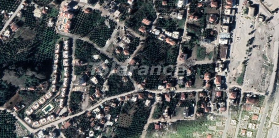 Tom  i Kemer, Antalya, Tyrkiet Nr. 221266