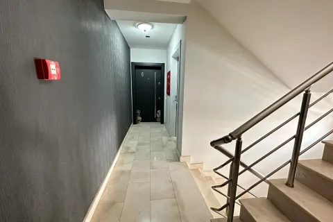 Daire  2+1  Muğla, Türkiye №223866 - 21