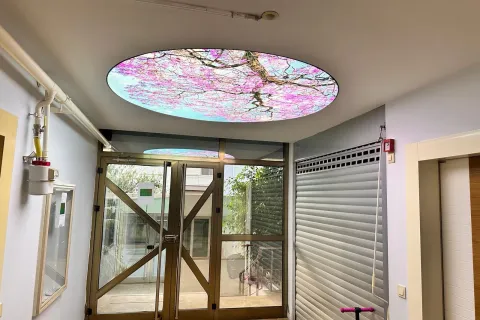 آپارتمان در  Mugla ، ترکیه 3 خوابه ، 210 متر مربع.  شماره 223863 - 4