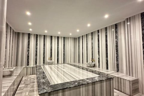 Leilighet  i Kestel, Antalya, Tyrkia Nr. 221159 - 10