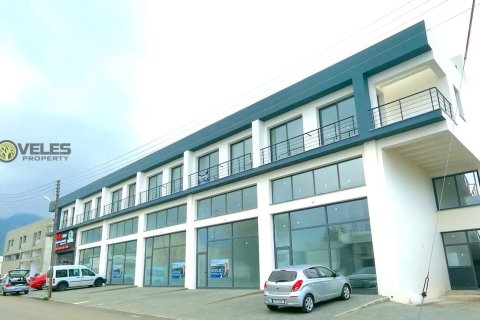 Продажа коммерческой недвижимости  в Караогланоглу, Гирне, Северный Кипр, 150м2, №213953 – фото 4