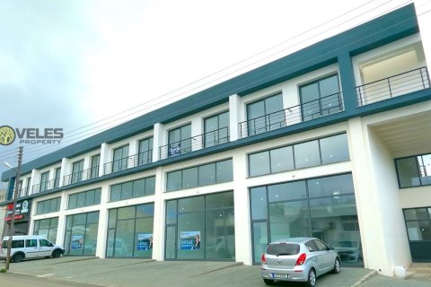 Продажа коммерческой недвижимости  в Караогланоглу, Гирне, Северный Кипр, 150м2, №213953 – фото 3