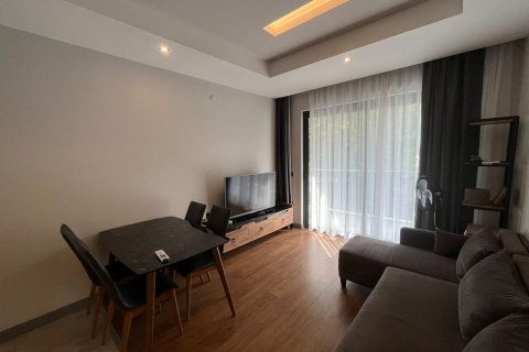 Daire  1+1  Alanya, Antalya, Türkiye №216981 - 13