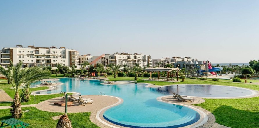 Lejlighed i Nr. 214843