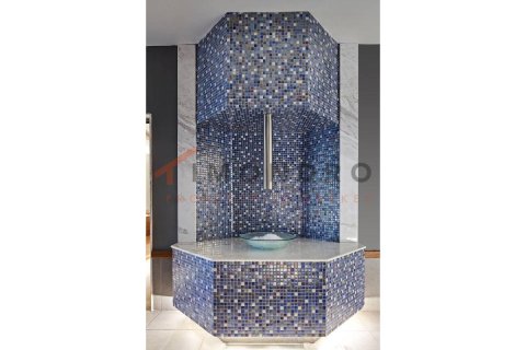 4+1 Lejlighed  i Sariyer, Istanbul, Tyrkiet Nr. 217190 - 29