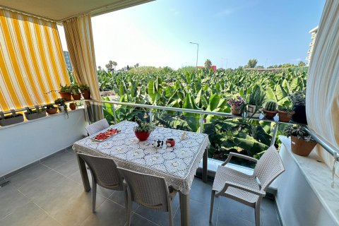 2+1 Lägenhet  i Kestel, Antalya, Turkiet Nr. 237942 - 20