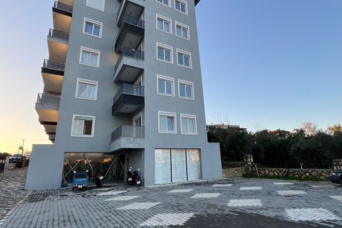 1+1 Wohnung in Alanya, Antalya, Türkei Nr. 228282 - 12