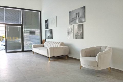 Erhvervsejendom  i Bogazi, Famagusta,  Nr. 214458 - 11