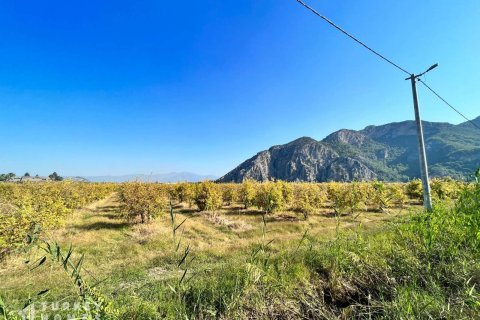 Продажа земельного участка в Дальяне, Мугле, Турция, 23992м2, №232908 – фото 10