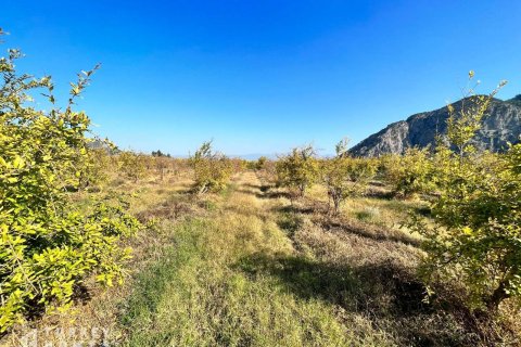 Продажа земельного участка в Дальяне, Мугле, Турция, 23992м2, №232908 – фото 3