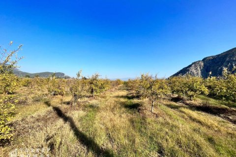 Продажа земельного участка в Дальяне, Мугле, Турция, 23992м2, №232908 – фото 4