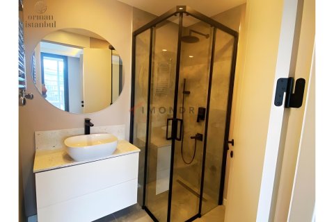 4+1 Wohnung in Kâğıthane, Istanbul, Türkei Nr. 212362 - 11