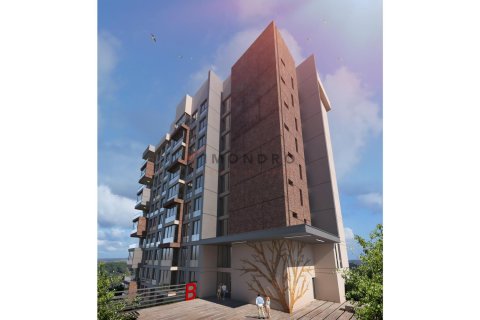 2+1 Wohnung  in Kâğıthane, Istanbul, Türkei Nr. 212360 - 5