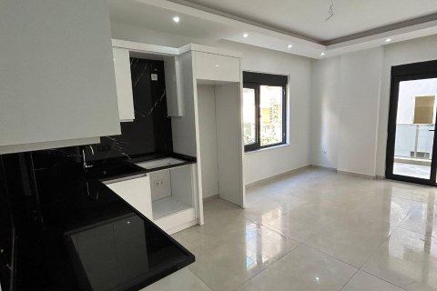 1+0 Wohnung  in Alanya, Antalya, Türkei Nr. 228270