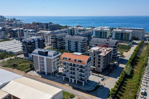 1+1 Wohnung  in Alanya, Antalya, Türkei Nr. 228261 - 13