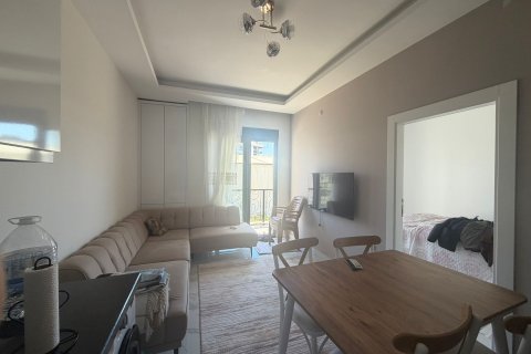 1+1 Wohnung  in Alanya, Antalya, Türkei Nr. 228261 - 3