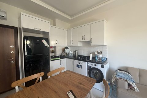 1+1 Wohnung  in Alanya, Antalya, Türkei Nr. 228261 - 2