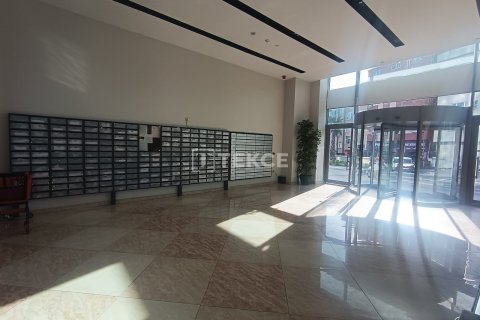 Daire  1+1  İstanbul, Türkiye №213461 - 5