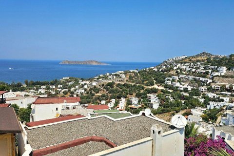 3+1 Villa in Bodrum, Mugla, Türkei Nr. 214899 - 21