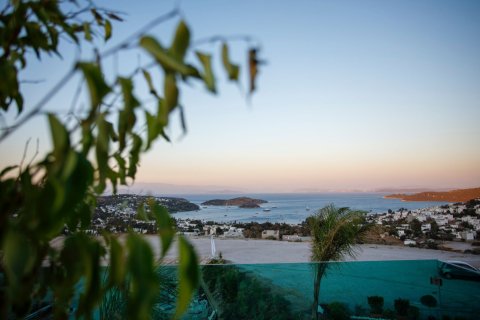 Villa 6+1 Türkbükü, Muğla, Türkiye №214894 - 27