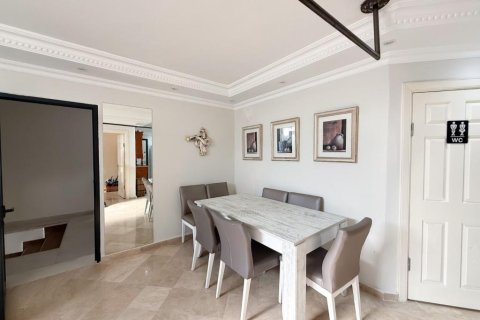 ویلا در  Oba ، ترکیه 400 متر مربع.  شماره 221665 - 12