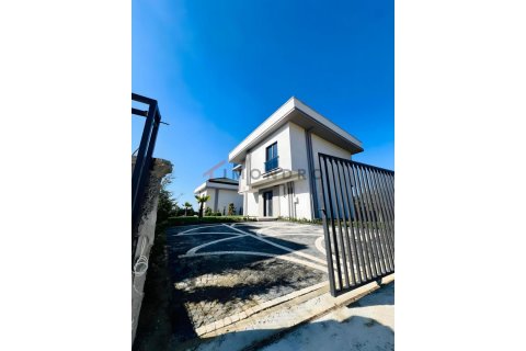 7+1 Villa i Bueyuekcekmece, istanbul, Turkiet Nr. 225230 - 24