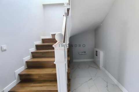 4+1 Villa i Silivri, istanbul, Turkiet Nr. 225235 - 27